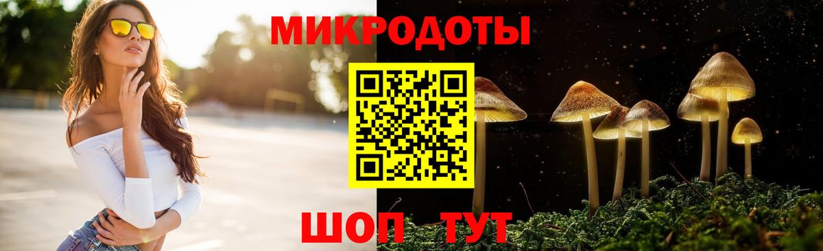 Псилоцибиновые грибы Psilocybe  Псилоцибиновые грибы MAGIC MUSHROOMS  магазин  наркотиков  Вход с VPN  Курганинск 